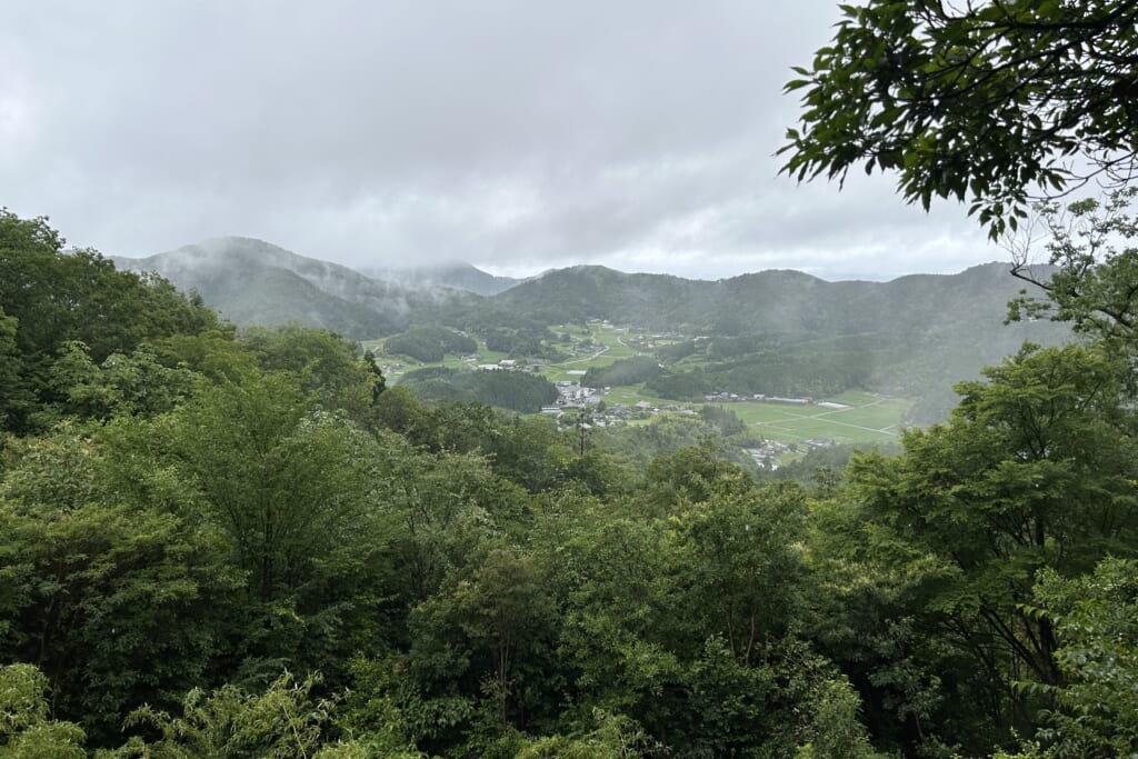 天野の里の霧の景色