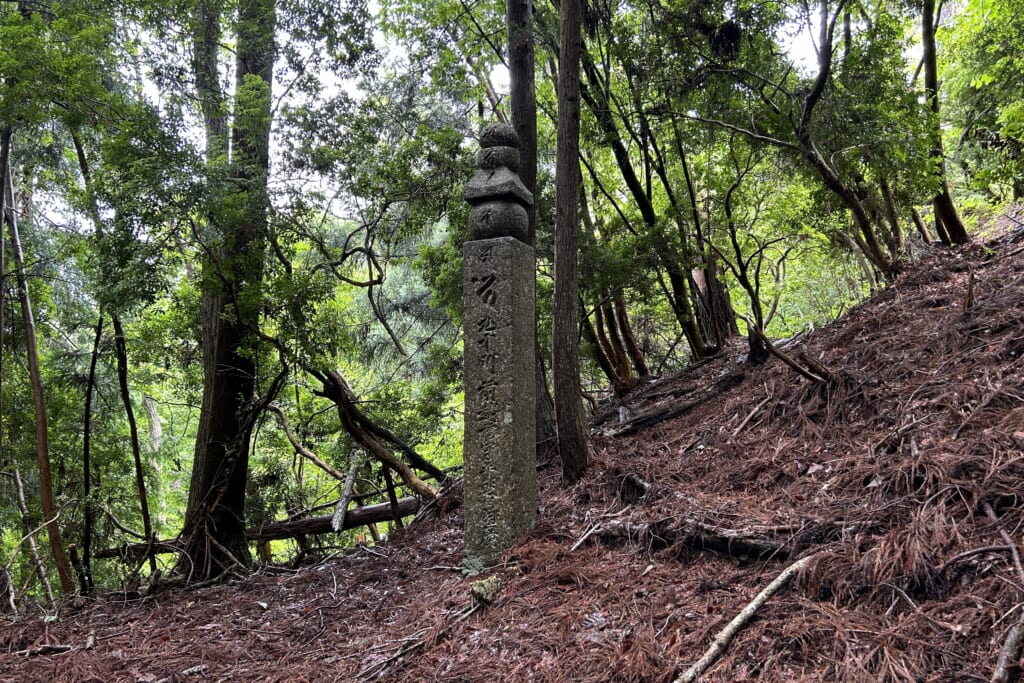 町石道の町石