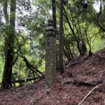 【画像】弘法大師も通った高野山への道！　山麓から180町の町石道を歩く 〜 画像1