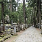 【画像】弘法大師が開いた天空の聖地へ！　高野山は涼しく快適な別天地、聖地「奥之院」を歩く 〜 画像1