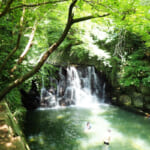 まさかりが淵市民の森の伝説の滝