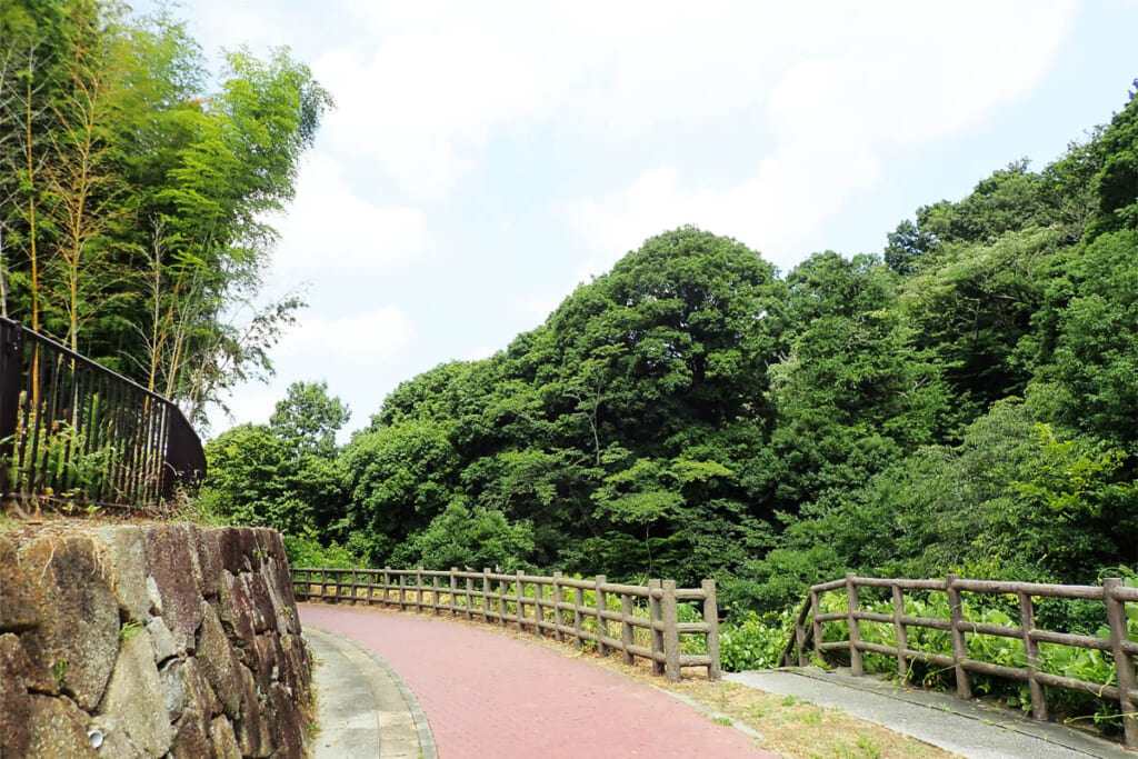 住宅街から見るまさかりが淵市民の森