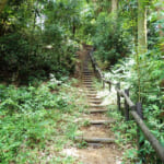 【画像】大都会の横浜に滝が？　箱根駅伝の戸塚中継所至近な住宅街にある秘境公園でアドベンチャー気分に浸る 〜 画像1