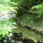 【画像】大都会の横浜に滝が？　箱根駅伝の戸塚中継所至近な住宅街にある秘境公園でアドベンチャー気分に浸る 〜 画像1