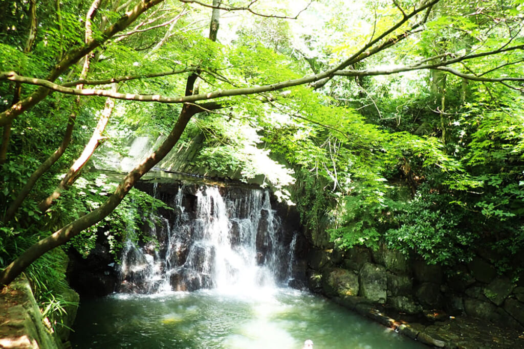 まさかりが淵市民の森のまさかりが淵