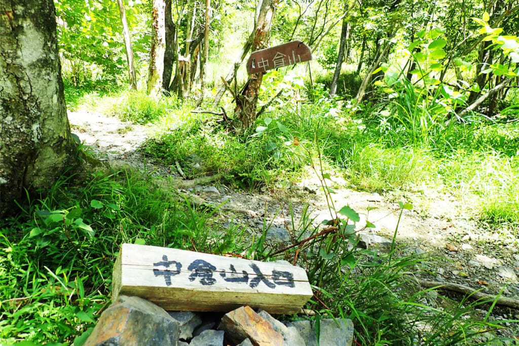 中倉山の登山道