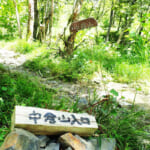 【画像】悲しい荒廃の歴史をぼっちで生き抜いた！　中倉山の孤高のブナに会いに行く「絶景トレイル」を歩く 〜 画像1