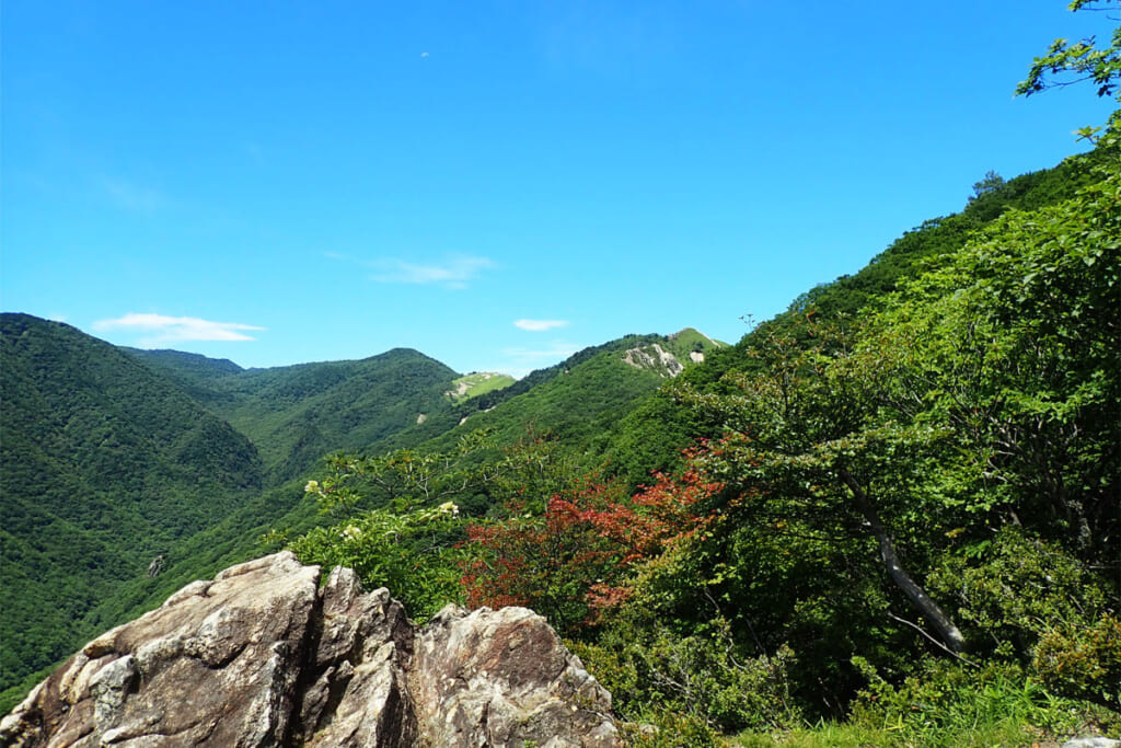 中倉山山頂手前の山頂手前のビューポイント