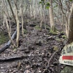 【画像】馬蹄形に周回できる「白髪岳」から「松尾山」へ！　そそり立つ岩尾根を登る丹波富士トレッキング 〜 画像1