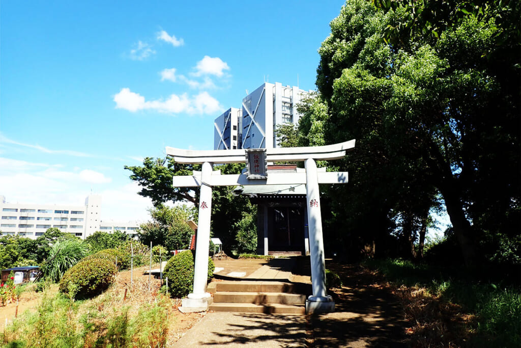 飯綱神社の鳥居