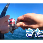 【画像】浜名湖での釣果はいかに！　0円ダンゴ釣りで一番釣れる魚種はフグだった!? 〜 画像1