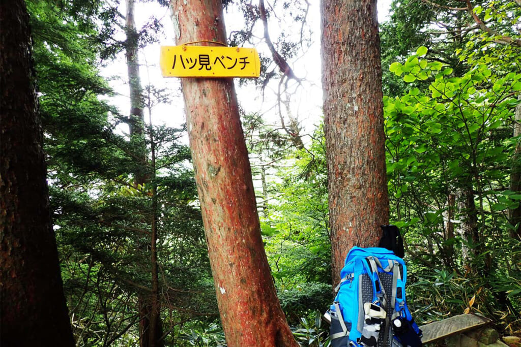 爺ヶ岳の八ツ見ベンチ