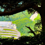 【画像】歩きやすいけどロング！　北アルプスの絶景と雷鳥が待つ爺ヶ岳へ柏原新道で行く 〜 画像1