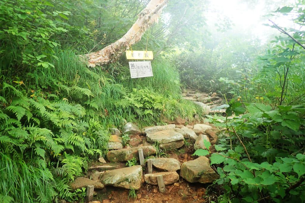 フラットに足を置ける石配置の登山道