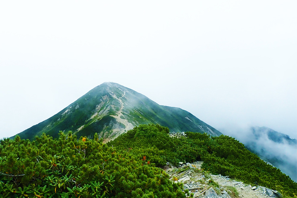 爺ヶ岳の中峰から南峰の眺望