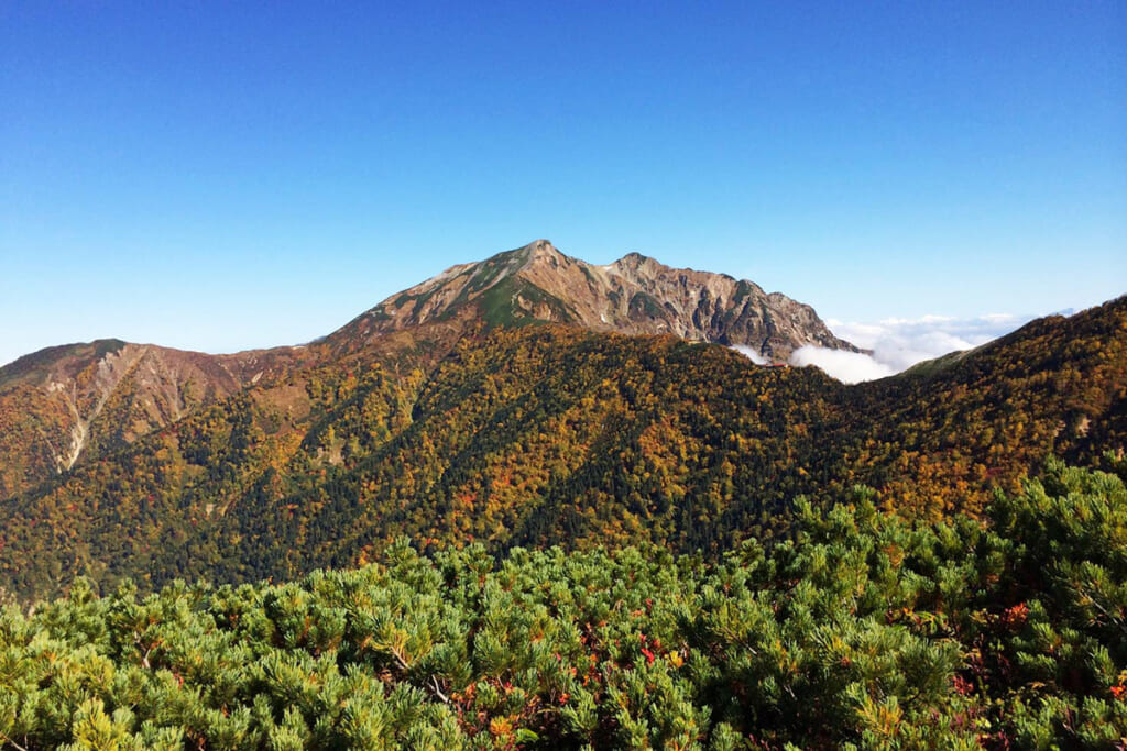 爺ヶ岳から見る鹿島槍ヶ岳の双耳峰