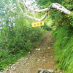 【画像】立山連峰と後立山連峰の絶景が待っている！　壮大な北アルプス稜線歩きで人気の鹿島槍ヶ岳をピークハント 〜 画像1