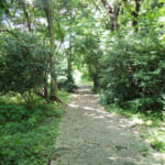 【画像】住宅街の山奥森公園や眺望二重丸の運動公園、そして豪華庭園も！　横浜南部国道1号線沿いにある個性派公園３選 〜 画像1