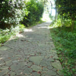 【画像】住宅街の山奥森公園や眺望二重丸の運動公園、そして豪華庭園も！　横浜南部国道1号線沿いにある個性派公園３選 〜 画像1