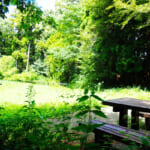 【画像】住宅街の山奥森公園や眺望二重丸の運動公園、そして豪華庭園も！　横浜南部国道1号線沿いにある個性派公園３選 〜 画像1