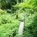 【画像】住宅街の山奥森公園や眺望二重丸の運動公園、そして豪華庭園も！　横浜南部国道1号線沿いにある個性派公園３選 〜 画像1