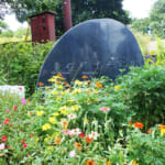 【画像】住宅街の山奥森公園や眺望二重丸の運動公園、そして豪華庭園も！　横浜南部国道1号線沿いにある個性派公園３選 〜 画像1