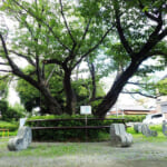 【画像】住宅街の山奥森公園や眺望二重丸の運動公園、そして豪華庭園も！　横浜南部国道1号線沿いにある個性派公園３選 〜 画像1