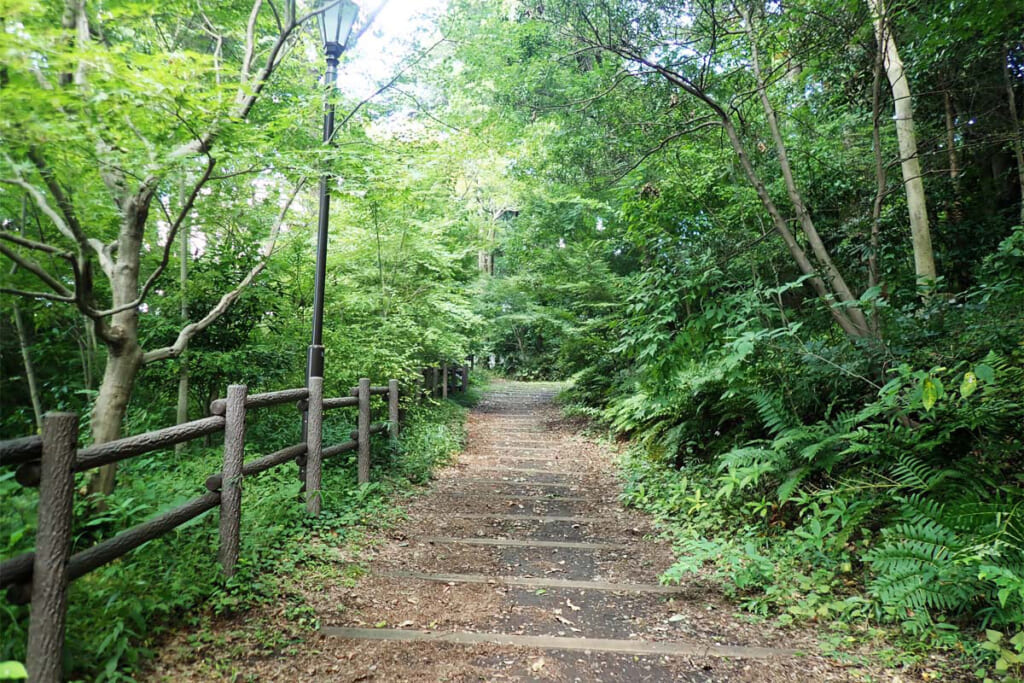 内苑内の歩道