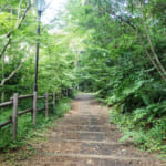 【画像】住宅街の山奥森公園や眺望二重丸の運動公園、そして豪華庭園も！　横浜南部国道1号線沿いにある個性派公園３選 〜 画像1