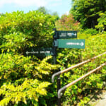 【画像】住宅街の山奥森公園や眺望二重丸の運動公園、そして豪華庭園も！　横浜南部国道1号線沿いにある個性派公園３選 〜 画像1