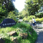 【画像】住宅街の山奥森公園や眺望二重丸の運動公園、そして豪華庭園も！　横浜南部国道1号線沿いにある個性派公園３選 〜 画像1