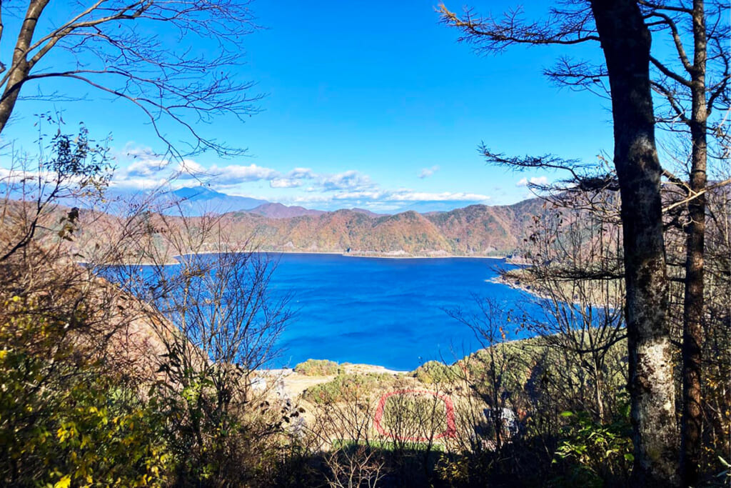 展望台からの本栖湖の眺望