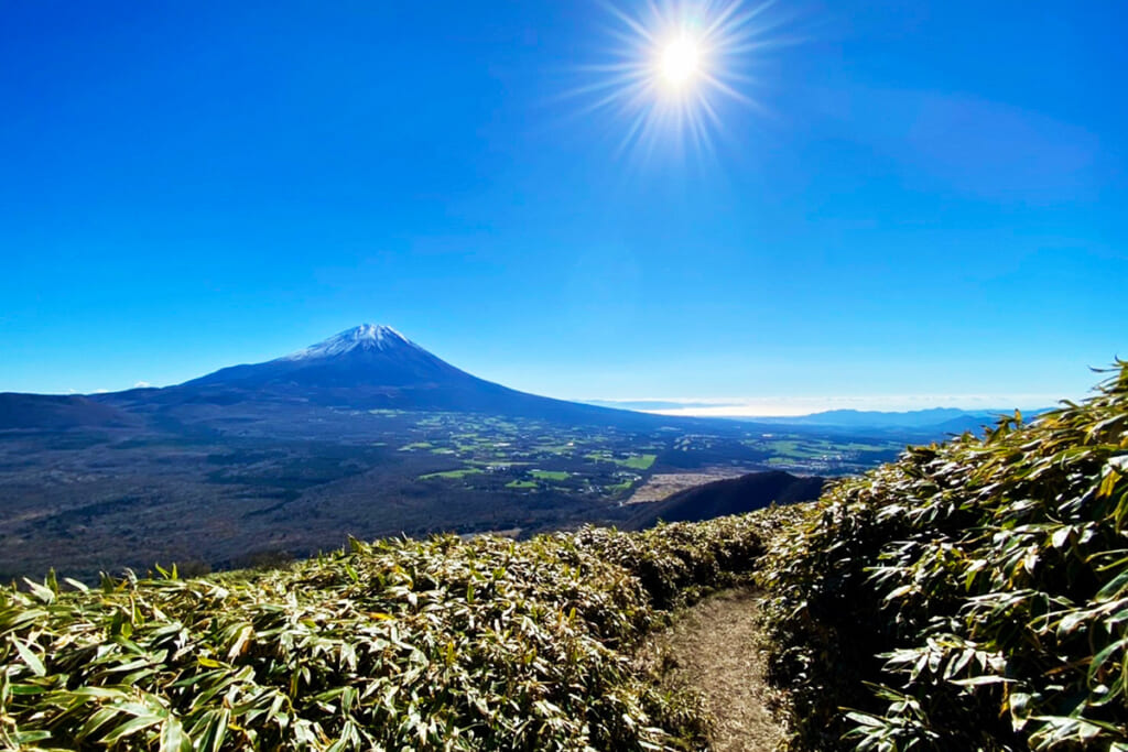 竜ケ岳山頂からの雄大な富士のパノラマ