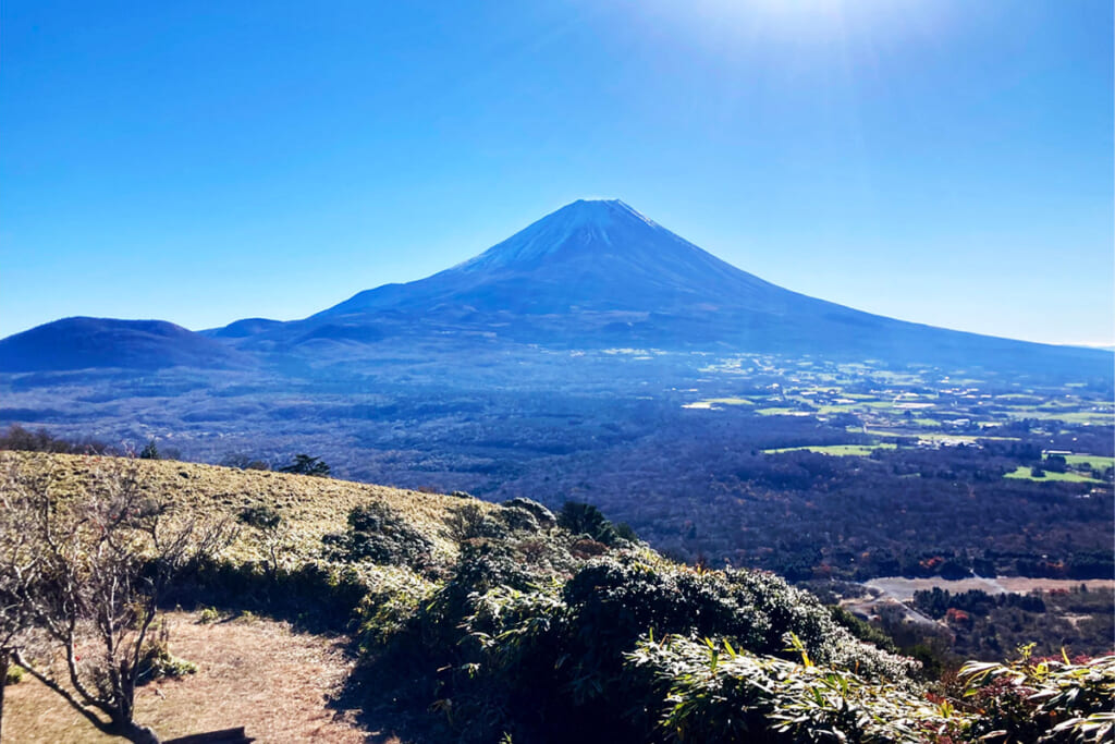 青木ヶ原樹海越しの富士山