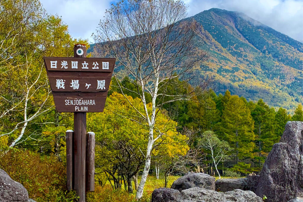 戦場ヶ原からの男体山