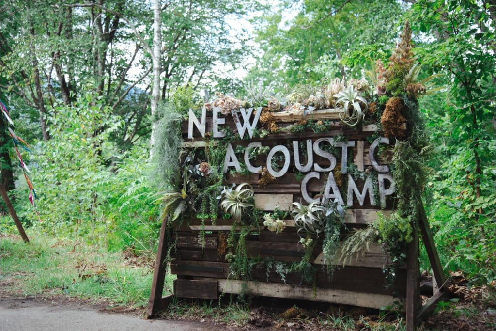 New Acoustic Camp