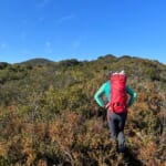 【画像】浜辺から薮の中まで網羅！　伊勢湾に浮かぶ「神島・菅島」船旅＆プチ登山を堪能 〜 画像1