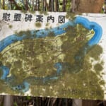 【画像】浜辺から薮の中まで網羅！　伊勢湾に浮かぶ「神島・菅島」船旅＆プチ登山を堪能 〜 画像1