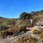 【画像】浜辺から薮の中まで網羅！　伊勢湾に浮かぶ「神島・菅島」船旅＆プチ登山を堪能 〜 画像1