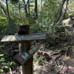 【画像】マイナールートの沢歩きを堪能！　1000万ドルの夜景が広がる「摩耶山登山」で頂上へ 〜 画像1