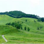 【画像】「ノルウェイの森」ロケ地でお気軽沢遊び！　標高約1000mの「峰山高原」を行く 〜 画像1