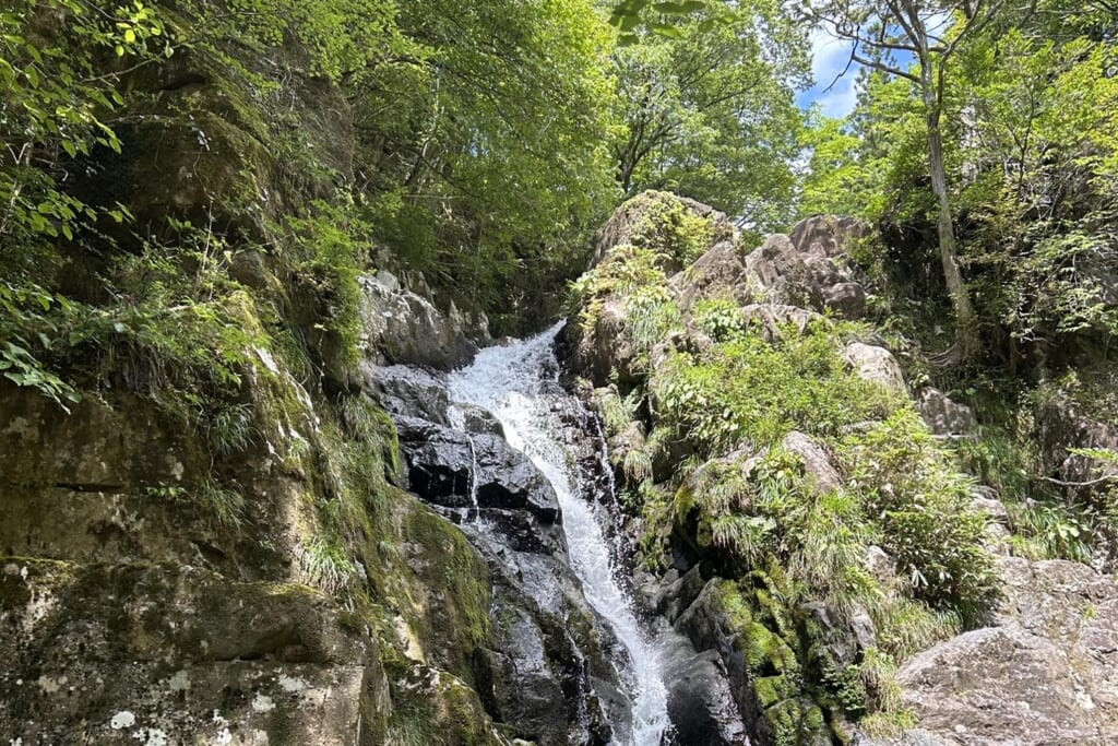 峰山高原の小滝