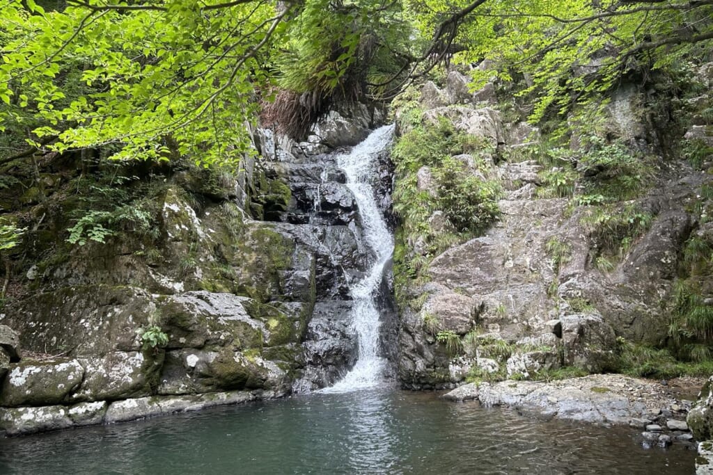 峰山高原の黒岩の滝