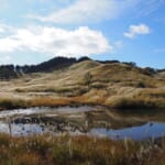 【画像】小滝を何本も登ってぐいぐい進む！　標高約1000mの「峰山高原」で沢登りを満喫 〜 画像1