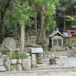 【画像】プチ滝登りとレアな名花を訪ねて！　名湯「有馬温泉」から標高931mの「六甲最高峰」を登る 〜 画像1