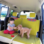 【画像】汚れやニオイに強い！　高機能でオシャレな「車用シートカバー」が愛犬家の問題をイッパツで解決 〜 画像1