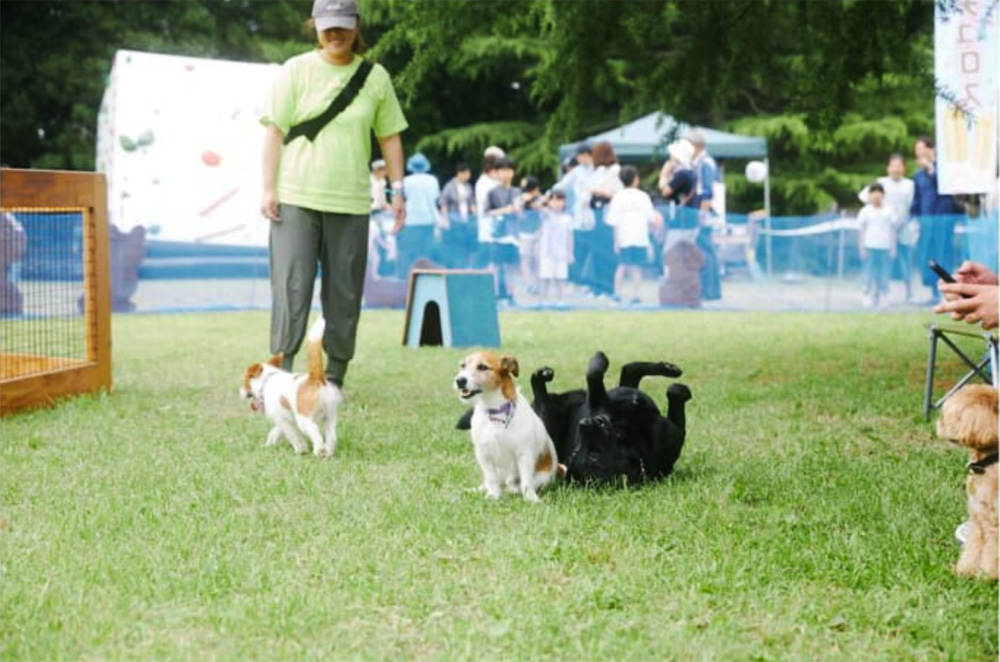 麦ノ秋音楽祭のドッグラン