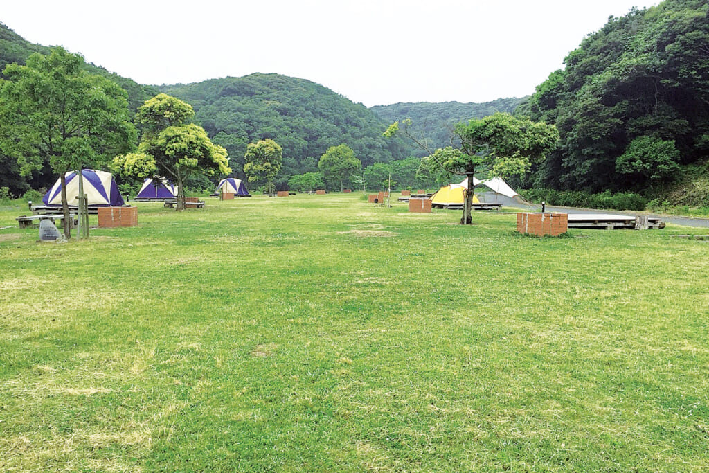 長崎県対馬市のあそうベイパーク オートキャンプ場