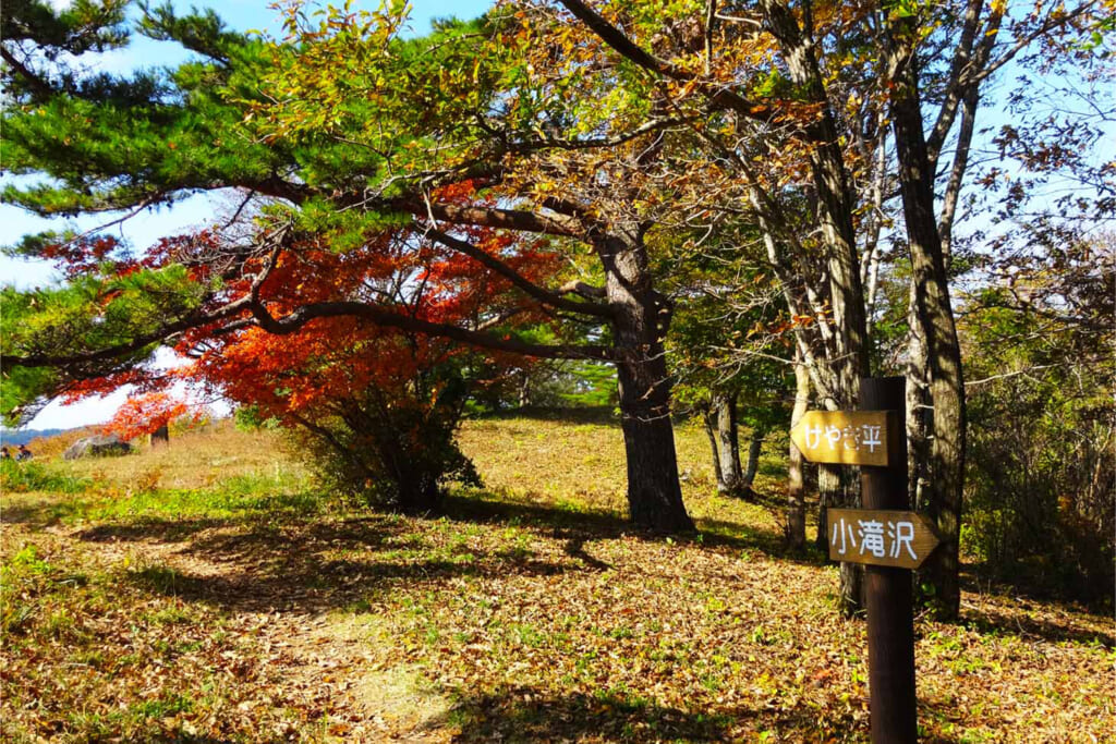 土岳山頂直下キャンプ場の案内標識