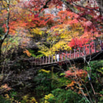 【画像】紅葉の名所で里山登山！　秋の花貫渓谷＆パノラマ眺望の土岳で紅葉インスタ映え山行を堪能 〜 画像1